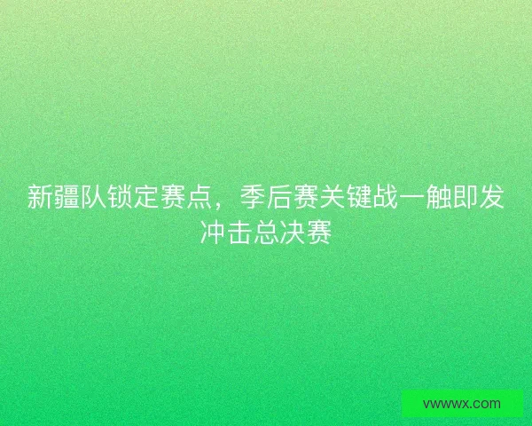 新疆队锁定赛点，季后赛关键战一触即发冲击总决赛